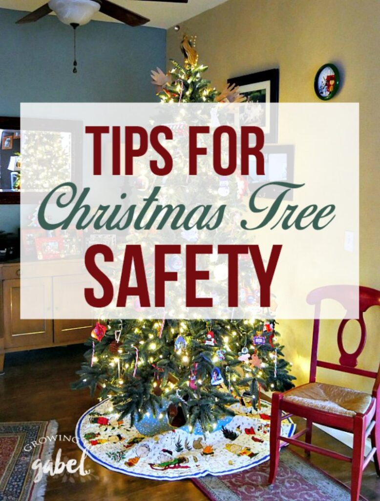 CROOKSTON FIRE DEPARTMENT OFFERS CHRISTMAS TREE SAFETY TIPS