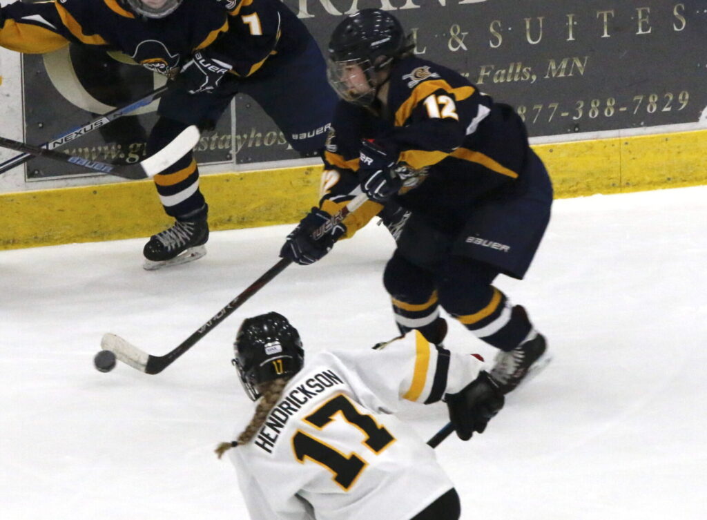 #2 RANKED WARROAD ENDS CROOKSTON GIRL’S HOCKEY’S SEASON IN SECTION SEMI’S