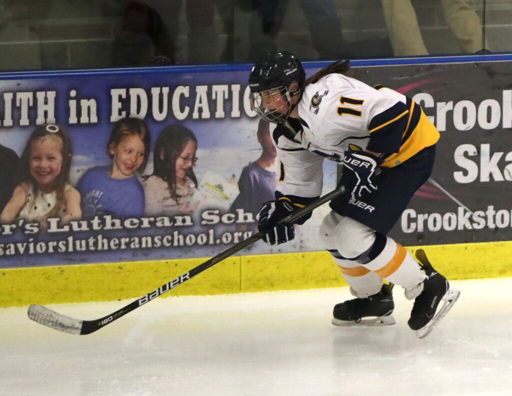 CROOKSTON GIRL’S HOCKEY BEATS DETROIT LAKES, SECURES HOME ICE FOR PLAY-IN GAME