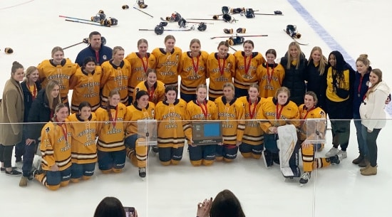 WARROAD SCORES 3 THIRD PERIOD GOALS TO BEAT PIRATE GIRLS HOCKEY 3-2 IN SECTION FINAL