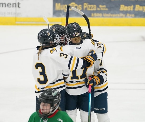 CROOKSTON PIRATE GIRLS HOCKEY SHUTS OUT EGF IN SECTION SEMI-FINAL