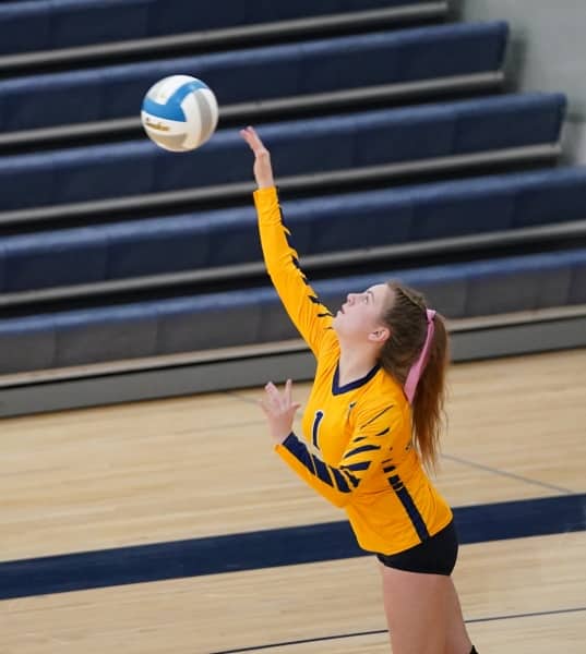 Volleyball player
