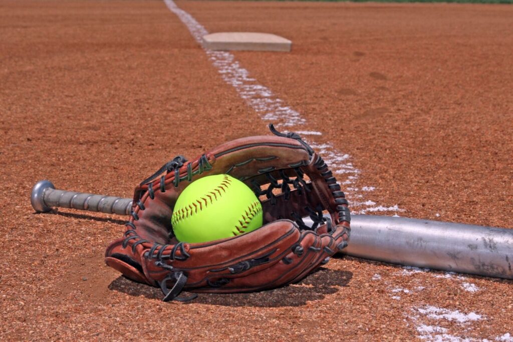 THIEF RIVER FALLS AND DGF ARE THE TOP SEEDS IN SECTION 8AA SOFTBALL TOURNEY