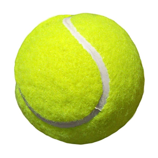 Section 8A Girls Tennis tournament seeds released – Crookston is #2