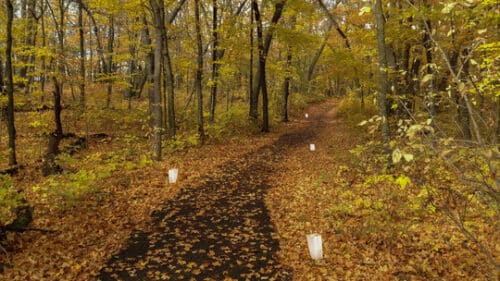 MN DNR Releases List of Fall Activities to get you Outdoors