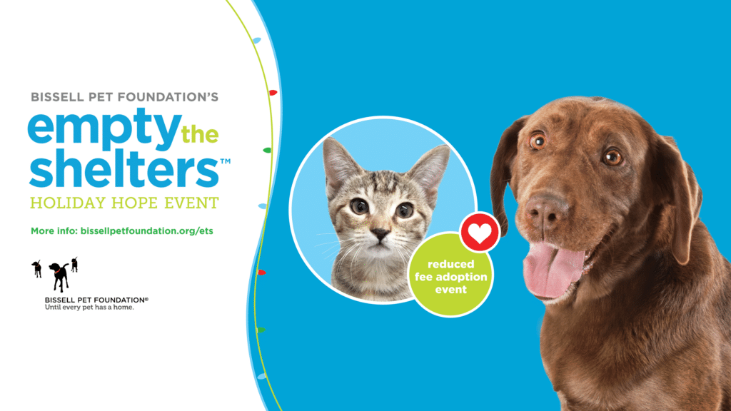 Scruffy Tails taking part in the Empty the Shelters – Holiday Hope Event