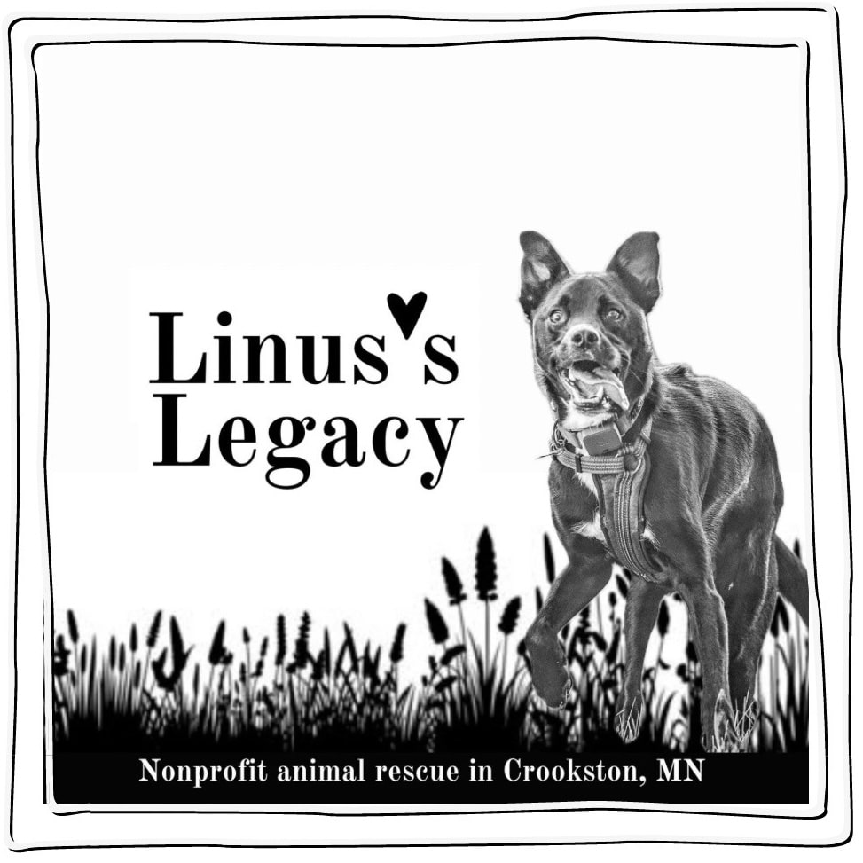 New animal rescue Linus’s Legacy is seeking foster homes for animals in need