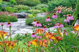 Minnesota Residents with outdoor spaces for planting are eligible for a Spring 2026 Lawns to Legumes Grant