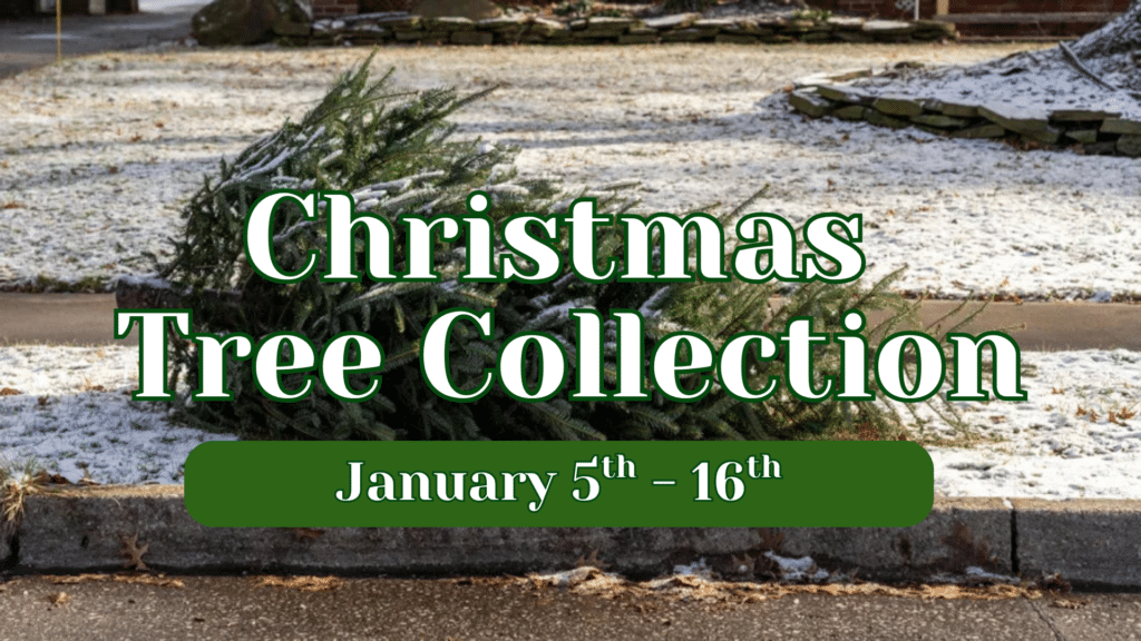 City of Crookston to collect real Christmas trees