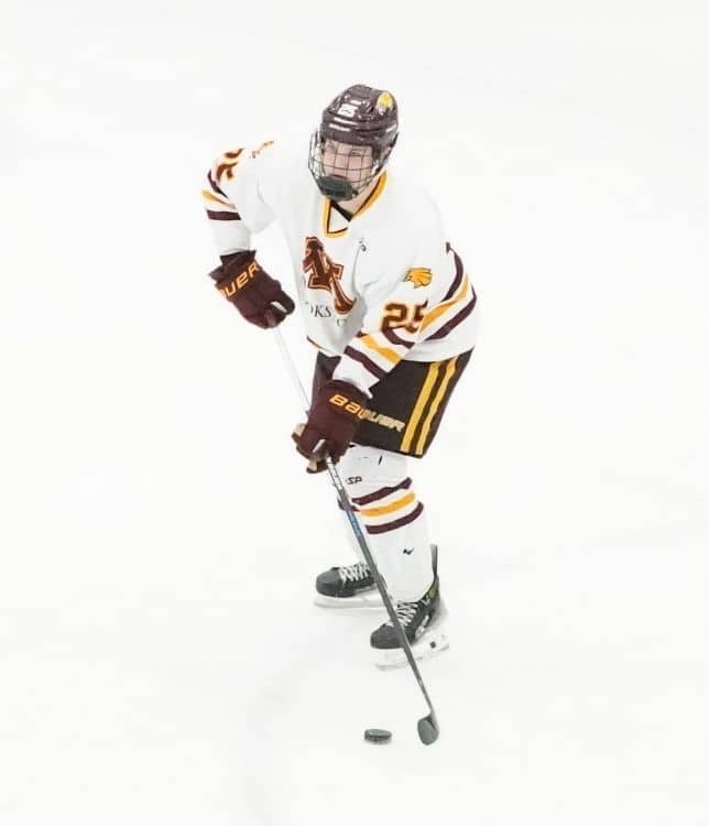 UMC Hockey takes down Jamestown in Sunday matinee