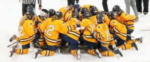 Pirate Girls Hockey falls to Warroad, ends season in the Section 8A Semifinals