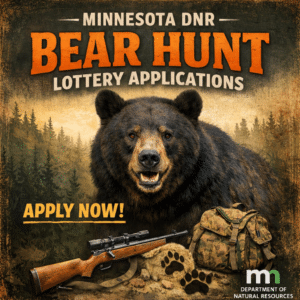 Minnesota Bear hunters have until May 1 to apply for a beat hunting license