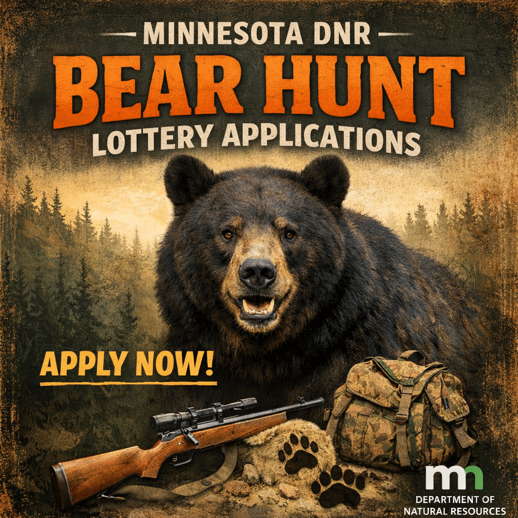 Minnesota Bear hunters have until May 1 to apply for a beat hunting license