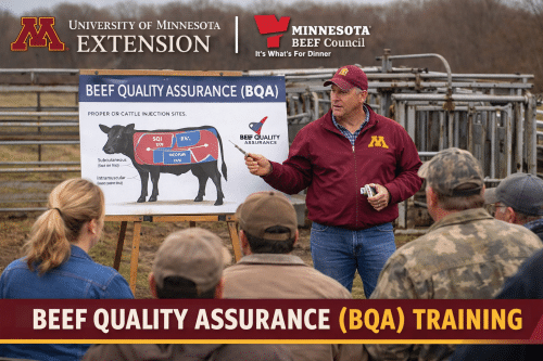 University of Minnesota Extension and Minnesota Beef Council to host virtual and in-person trainings