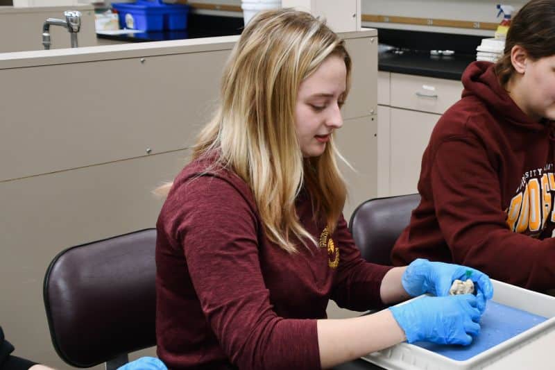 University of Minnesota Crookston animal science students achieve a 90.9 percent veterinary school acceptance rate