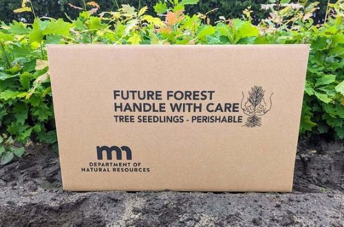 Landowners can apply for the second round of Minnesota DNR reforestation funding