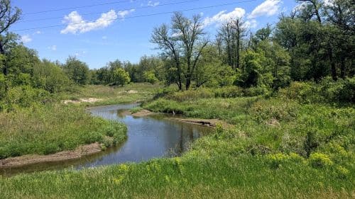 From Impaired to Improved: Sand Hill River marks conservation milestone