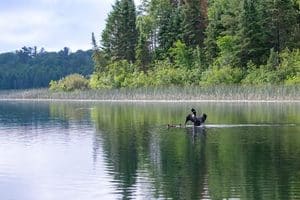 Public Lands Day highlights Minnesota’s natural spaces and those who care for them