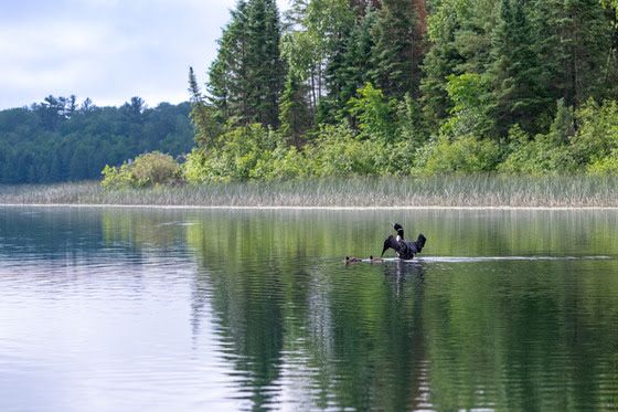 Public Lands Day highlights Minnesota’s natural spaces and those who care for them