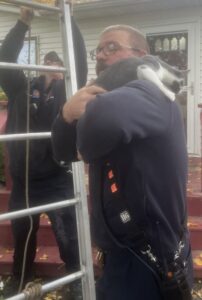 Crookston firefighters perform a purr-fect rescue of a foster kitten stuck in a tree