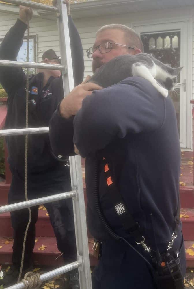 Crookston firefighters perform a purr-fect rescue of a foster kitten stuck in a tree